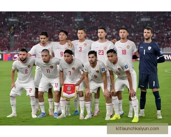 欧洲杯伤退球员情况汇总：多队主力因伤缺席后续赛事